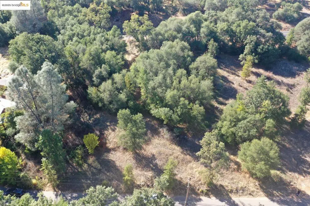 20556 Columbia WAY Sonora, CA 95370