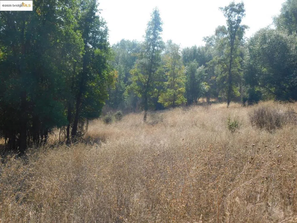 20556 Columbia WAY Sonora, CA 95370