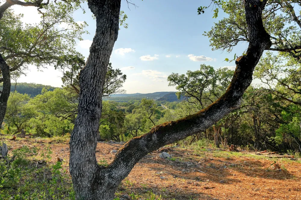 10700 FM306 New Braunfels, TX 78132