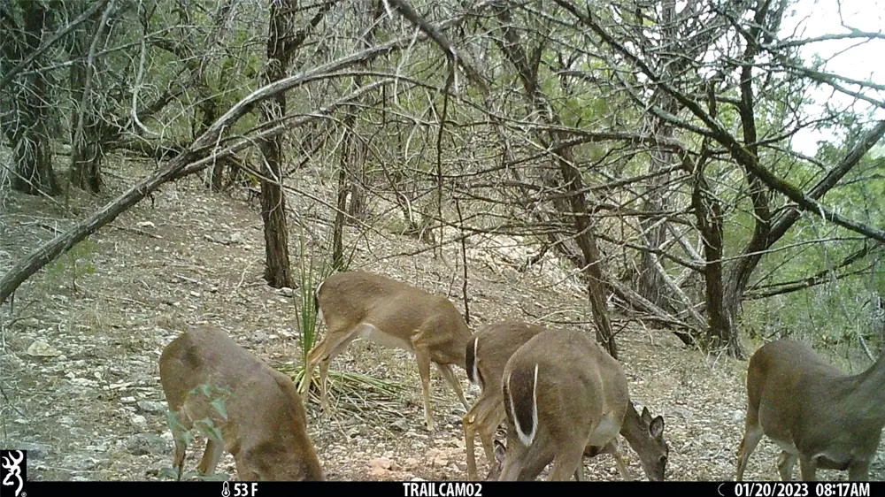 10700 FM306 New Braunfels, TX 78132