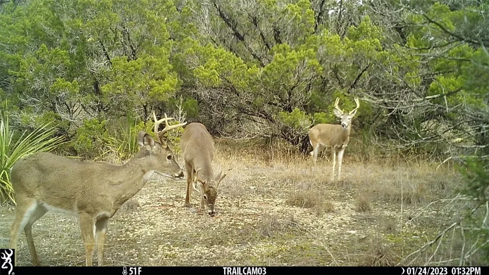10700 FM306 New Braunfels, TX 78132