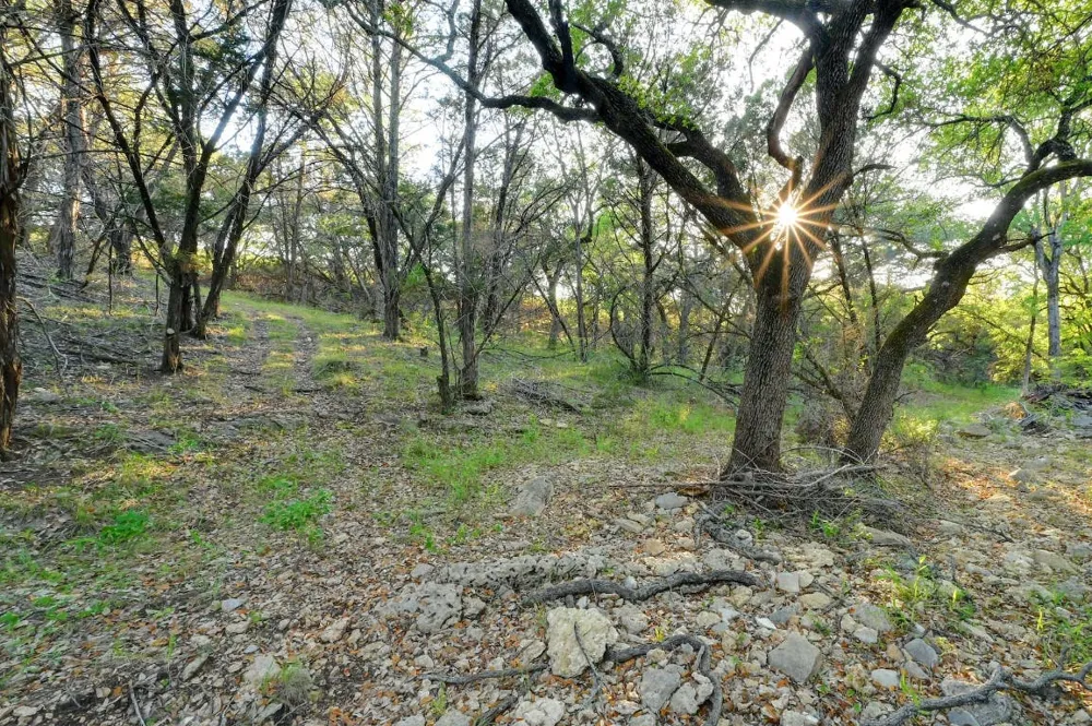 10700 FM306 New Braunfels, TX 78132
