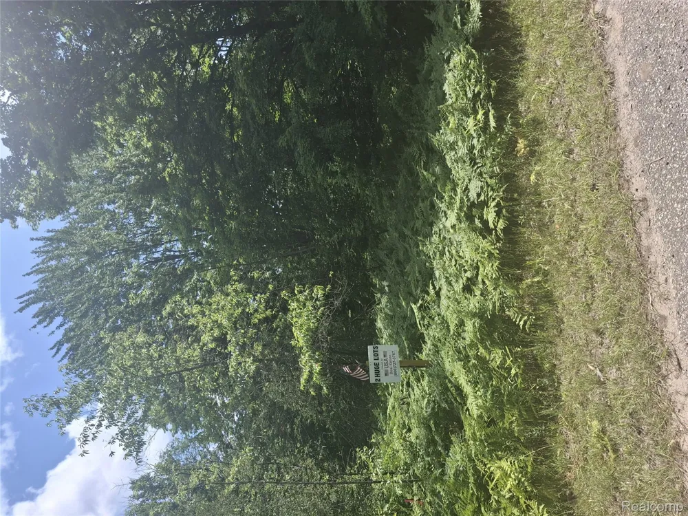 Lot 143 Mancelona Township, MI 49659