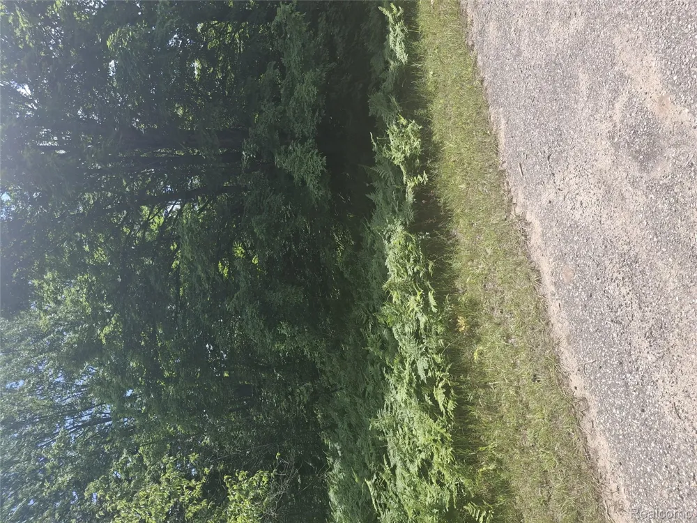 Lot 143 Mancelona Township, MI 49659