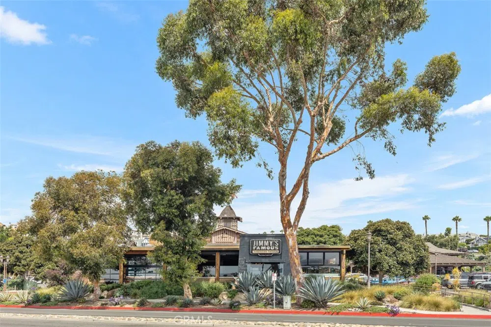 33782 Robles Drive Dana Point, CA 92629