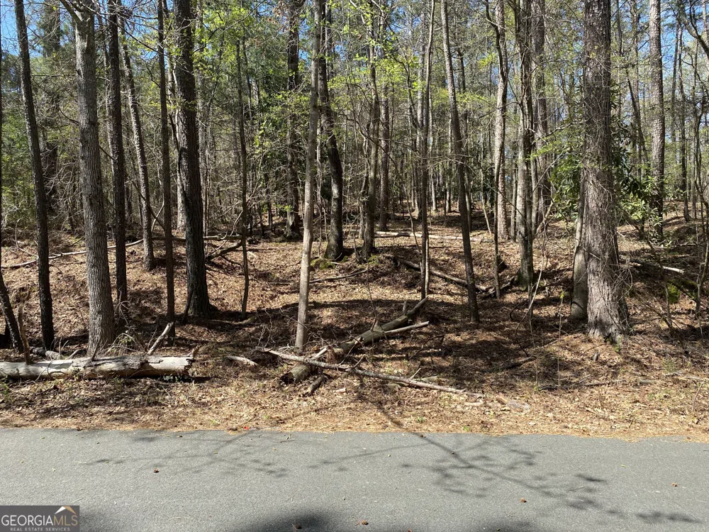 0 Sandra DR Gray, GA 31032