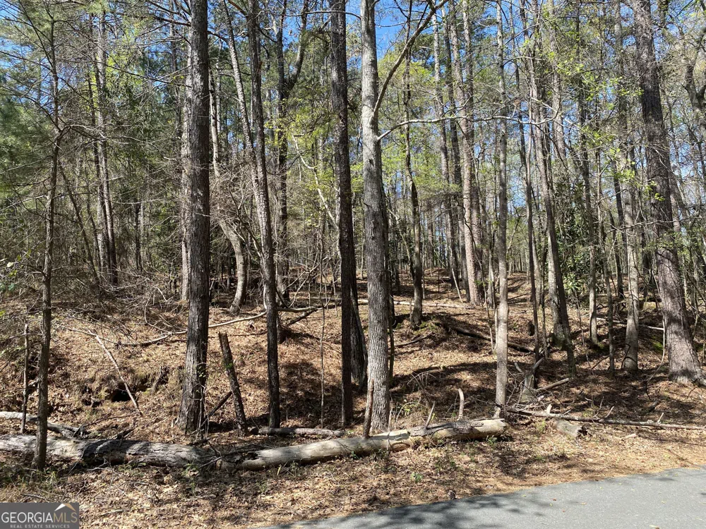 0 Sandra DR Gray, GA 31032