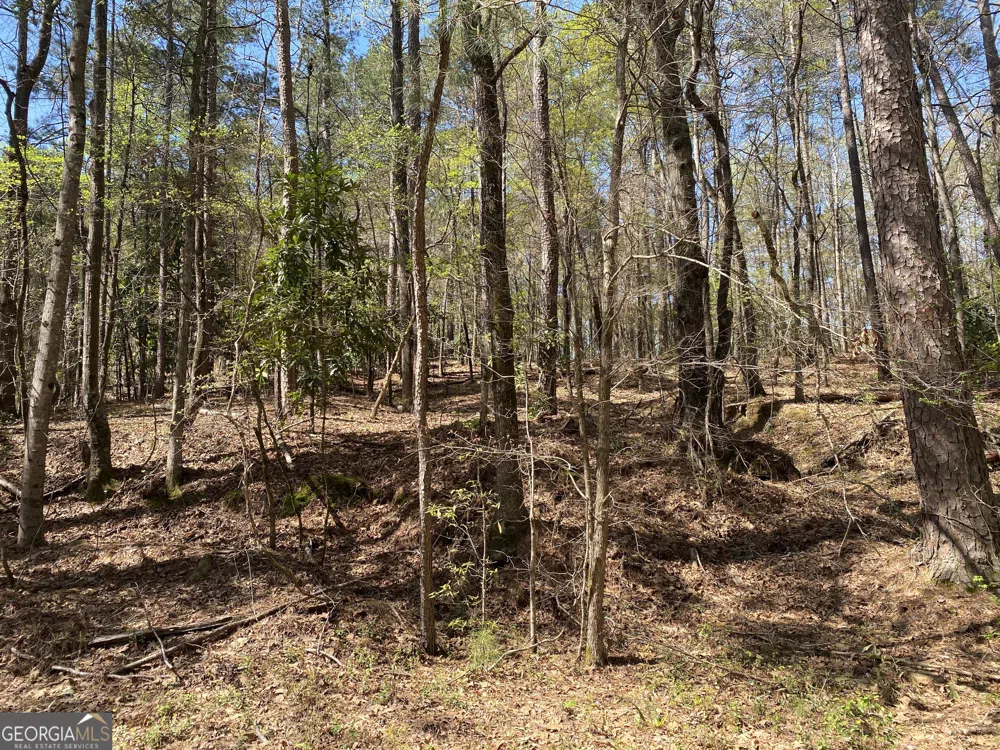 0 Sandra DR Gray, GA 31032