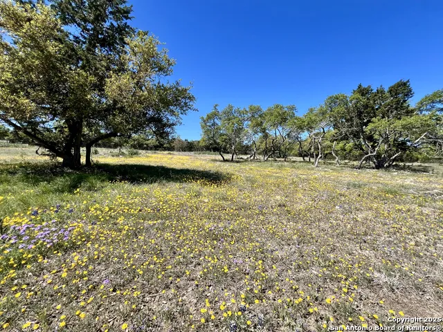 163 Northridge Dr Mountain Home, TX 78058