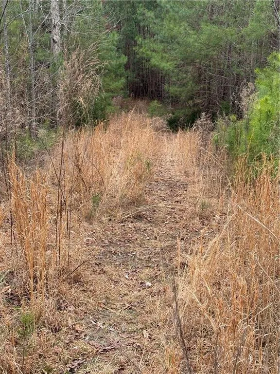 0 Salacoa Road NE Fairmount, GA 30139