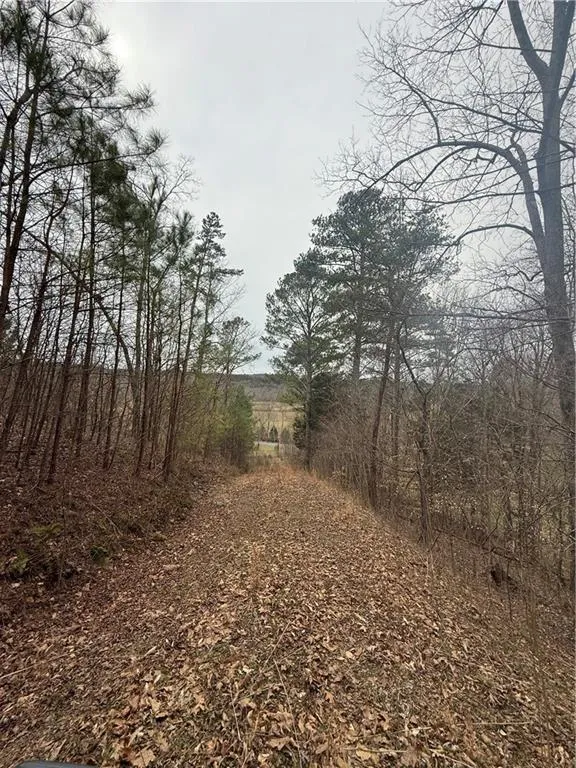 0 Salacoa Road NE Fairmount, GA 30139