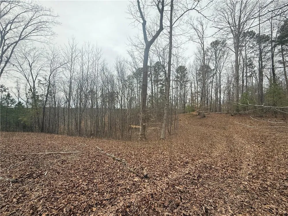 0 Salacoa Road NE Fairmount, GA 30139