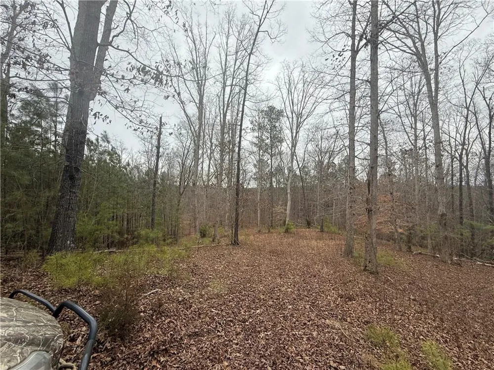 0 Salacoa Road NE Fairmount, GA 30139