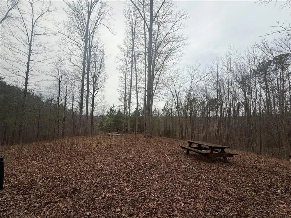 0 Salacoa Road NE Fairmount, GA 30139