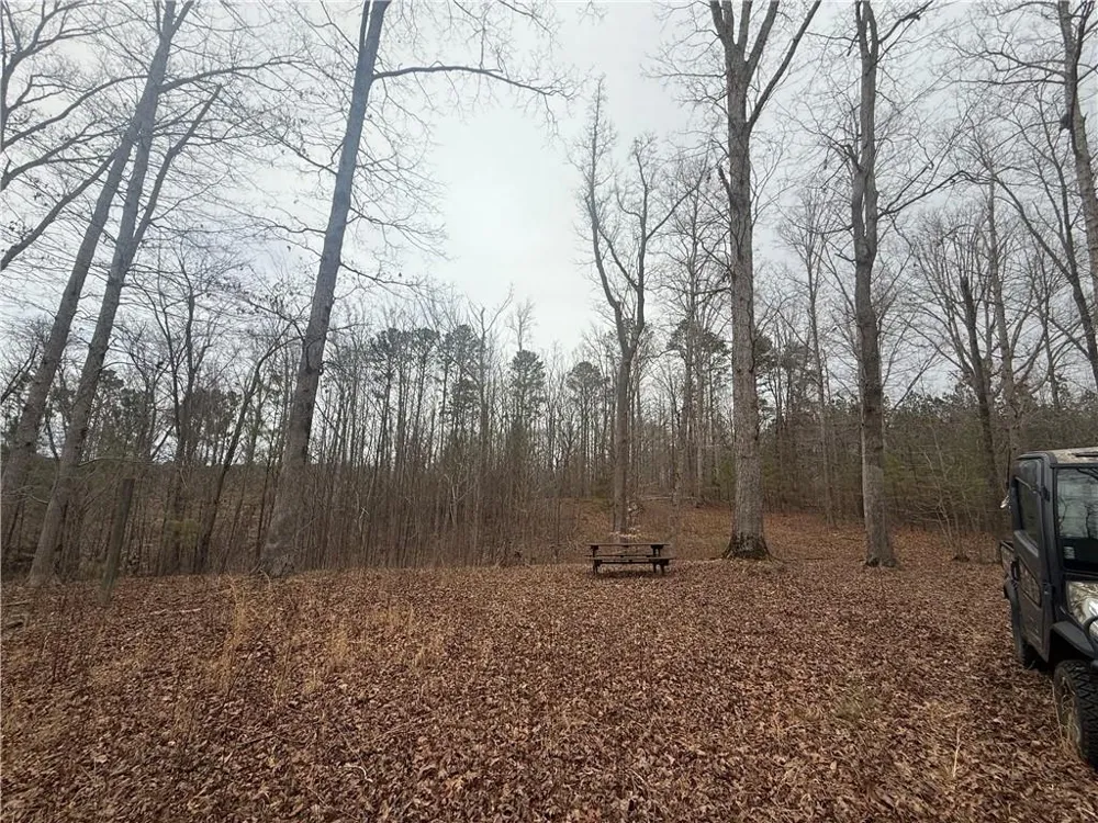0 Salacoa Road NE Fairmount, GA 30139