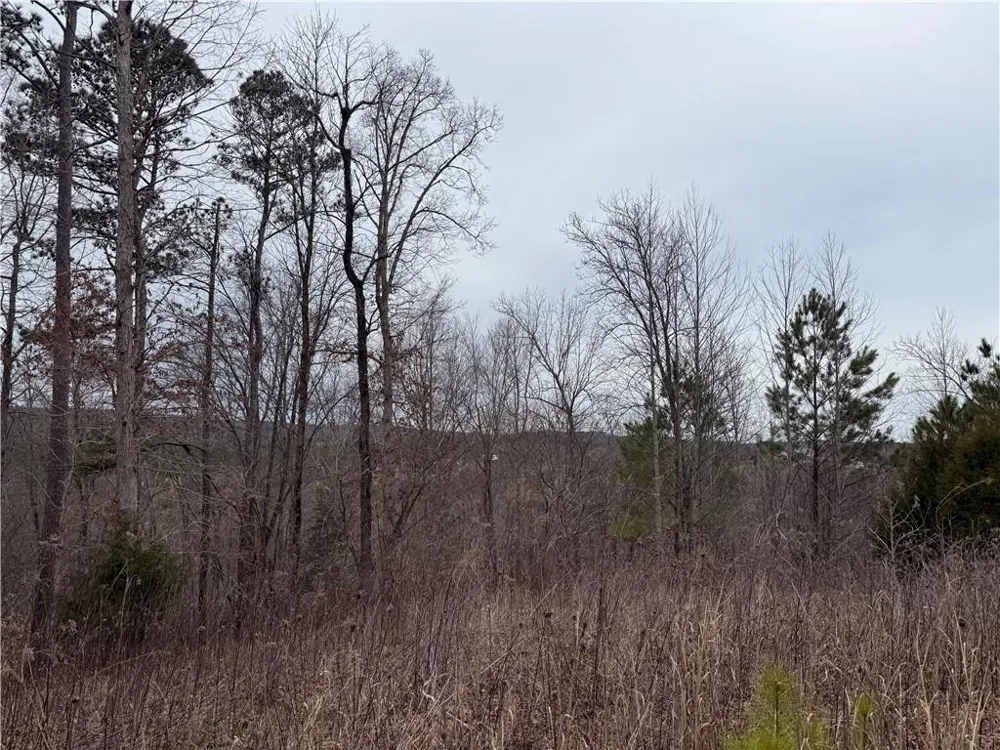0 Salacoa Road NE Fairmount, GA 30139