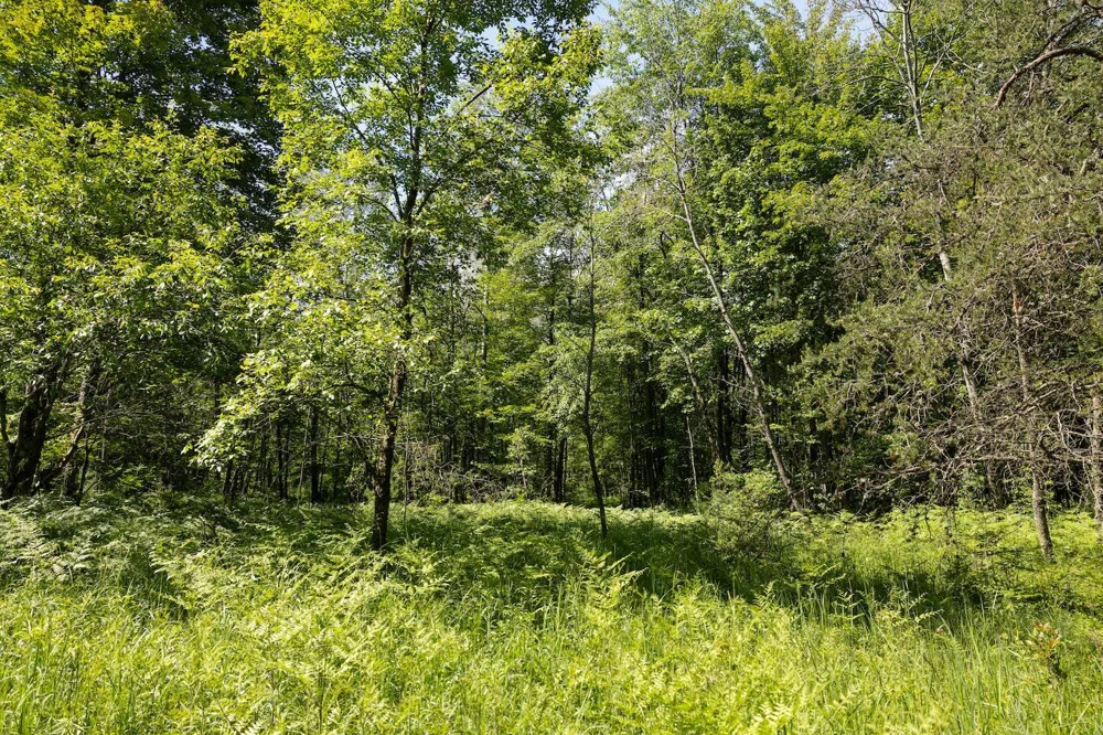 W 13 Mile Rd. #Par C Bitely, MI 49309