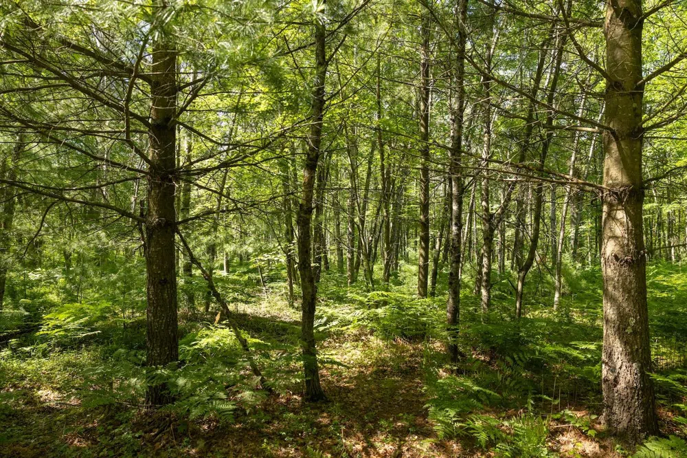 W 13 Mile Rd. #Par C Bitely, MI 49309