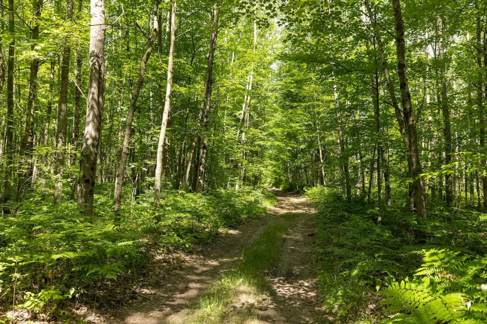 W 13 Mile Rd. #Par C Bitely, MI 49309