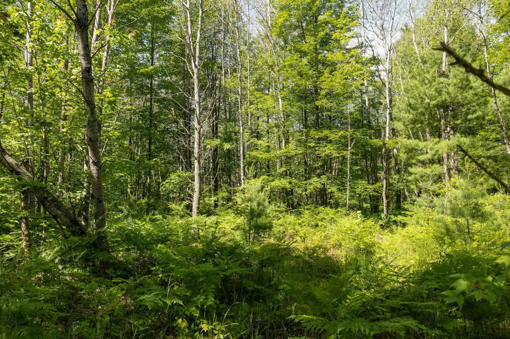 W 13 Mile Rd. #Par C Bitely, MI 49309
