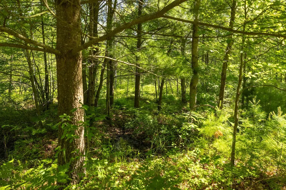 W 13 Mile Rd. #Par C Bitely, MI 49309