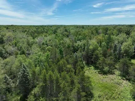 W 13 Mile Rd. #Par C Bitely, MI 49309