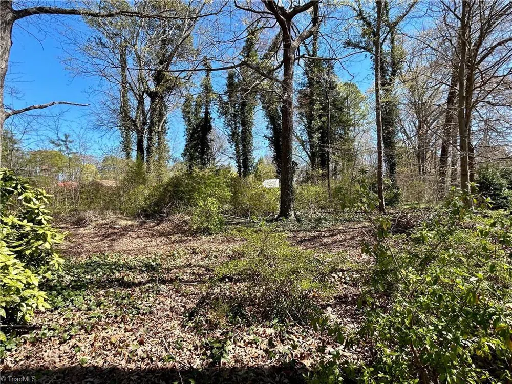 0 Milling Road Mocksville, NC 27028