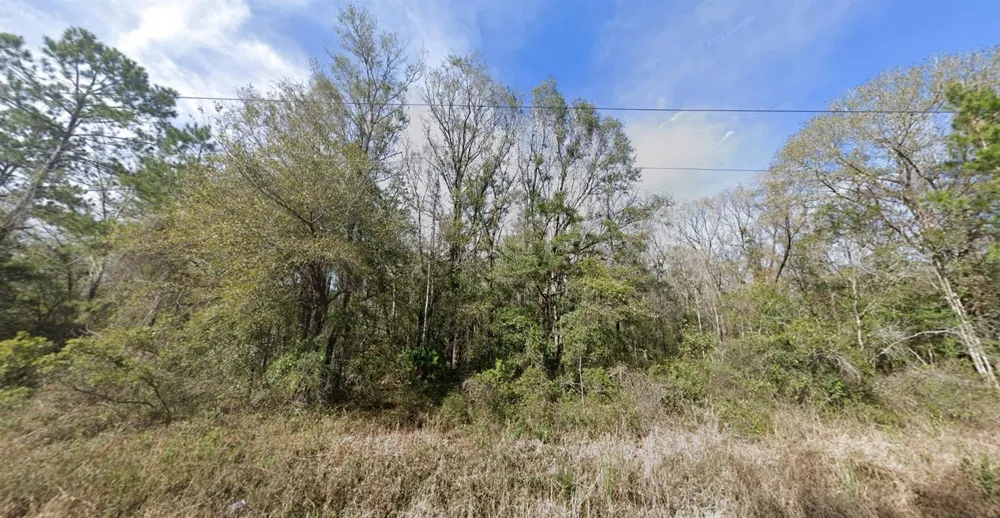 4590 JONATHAN STREET Hastings, FL 32145