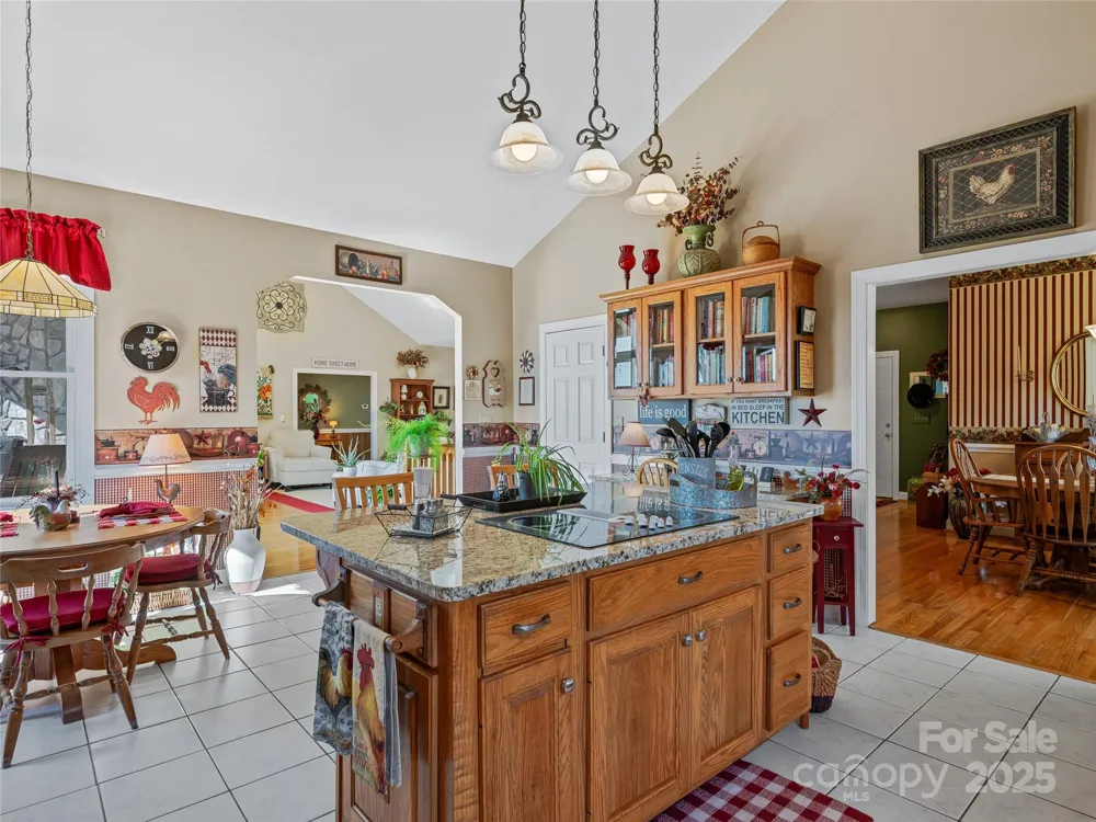 288 Hawks Point Drive Zirconia, NC 28790