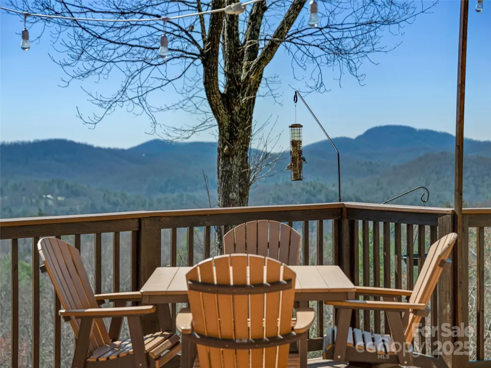 288 Hawks Point Drive Zirconia, NC 28790