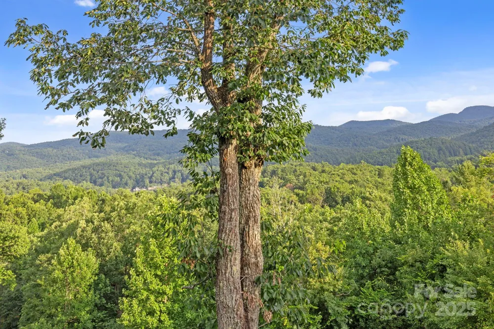 288 Hawks Point Drive Zirconia, NC 28790