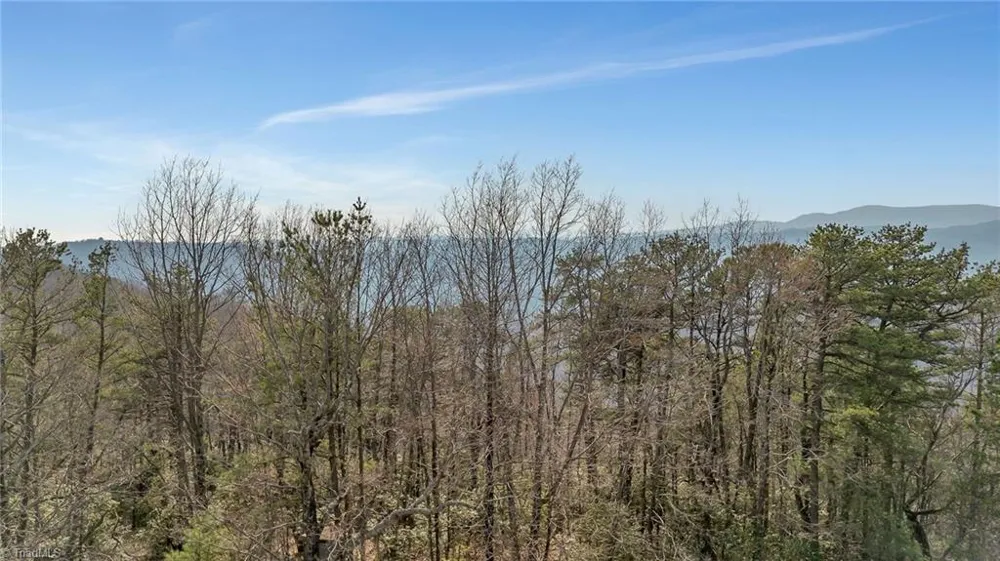 TBD White Oak Road Purlear, NC 28665
