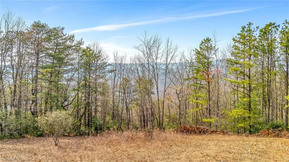 TBD White Oak Road Purlear, NC 28665