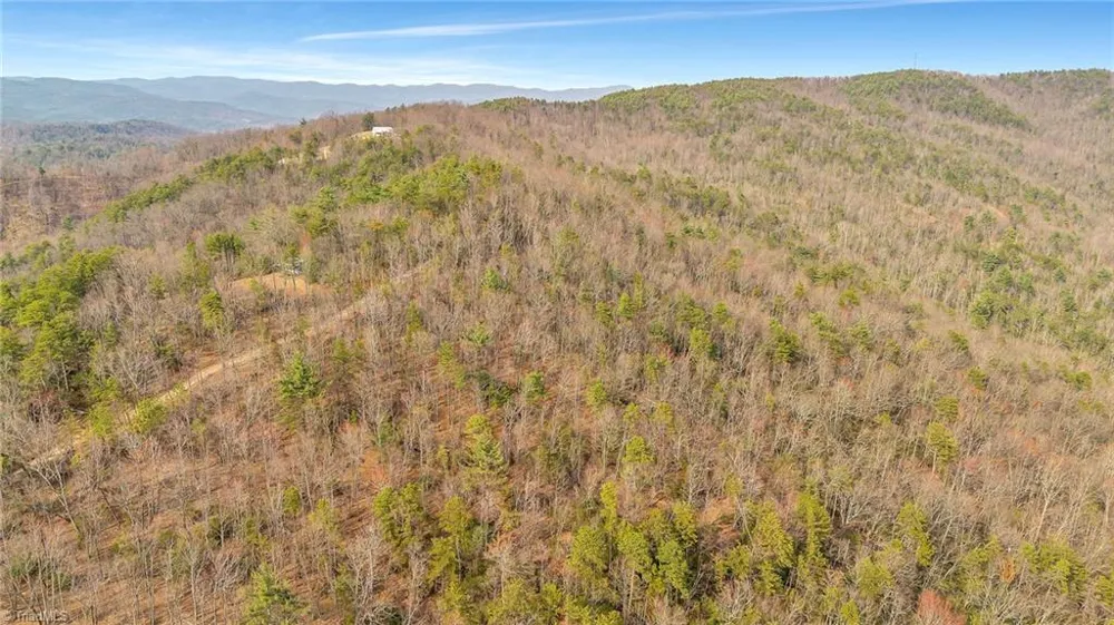 TBD White Oak Road Purlear, NC 28665