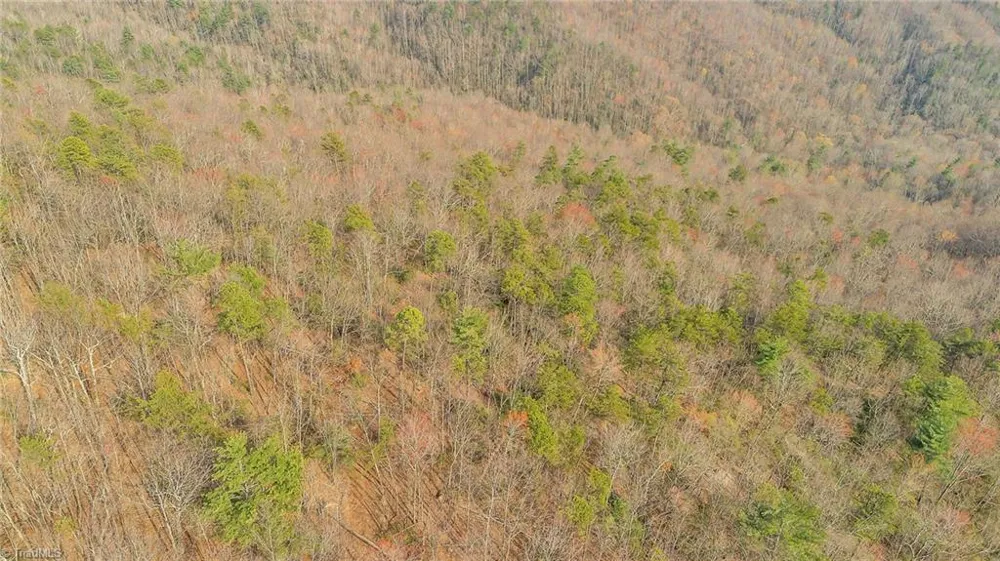 TBD White Oak Road Purlear, NC 28665