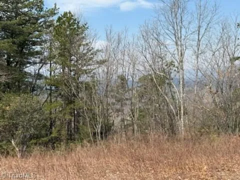 TBD White Oak Road Purlear, NC 28665