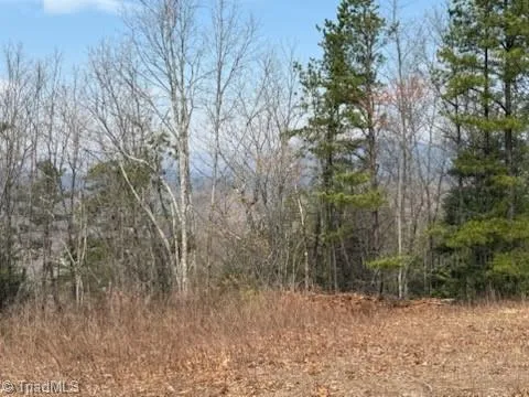 TBD White Oak Road Purlear, NC 28665
