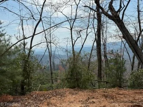 TBD White Oak Road Purlear, NC 28665