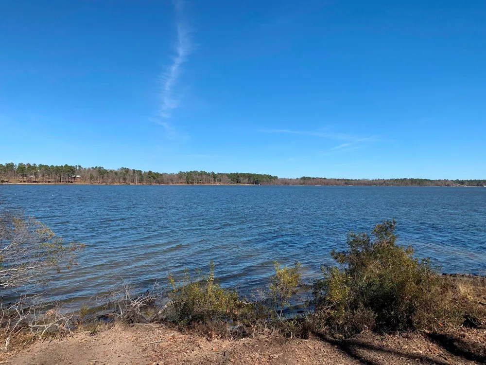 3266 Shadow Pine Drive Larue, TX 75770