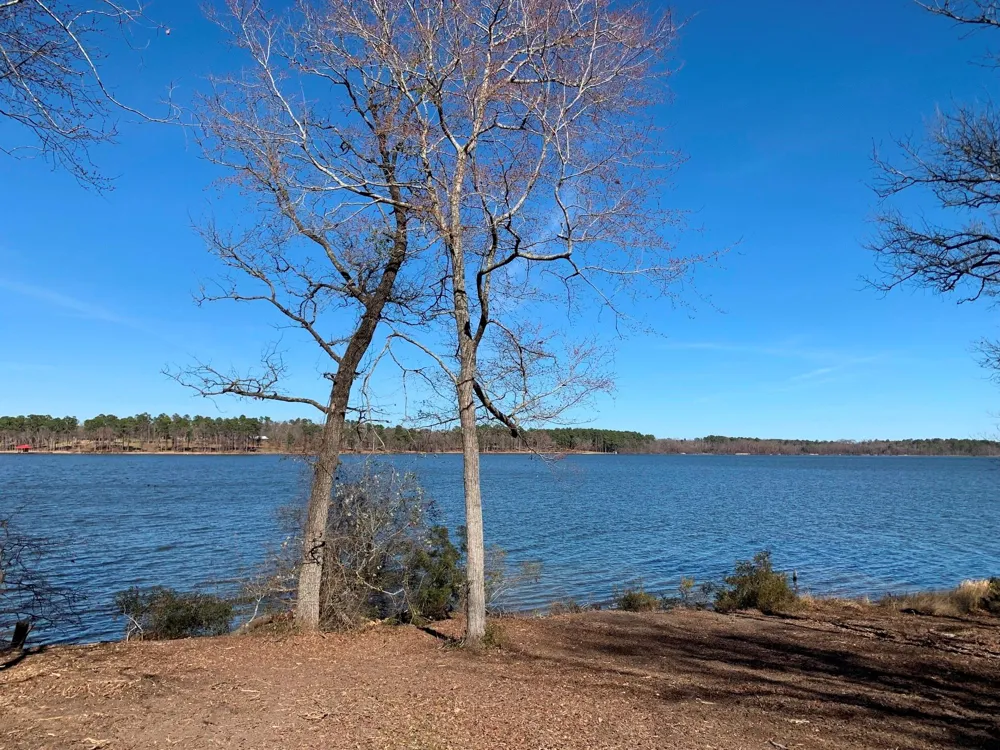 3266 Shadow Pine Drive Larue, TX 75770