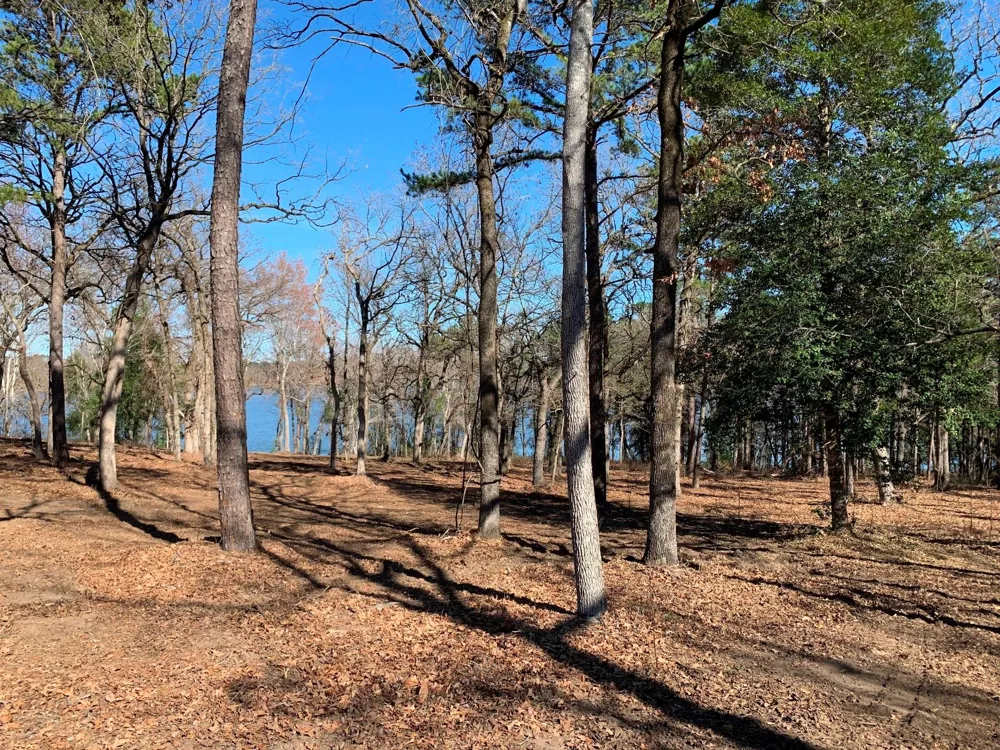 3266 Shadow Pine Drive Larue, TX 75770