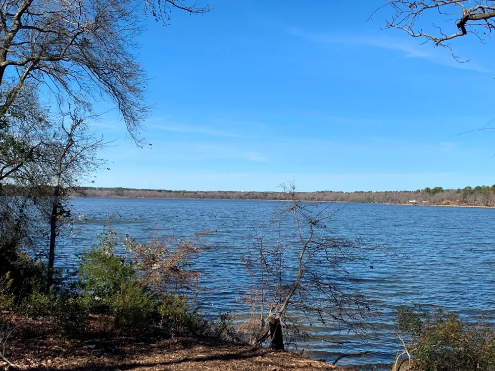 3266 Shadow Pine Drive Larue, TX 75770