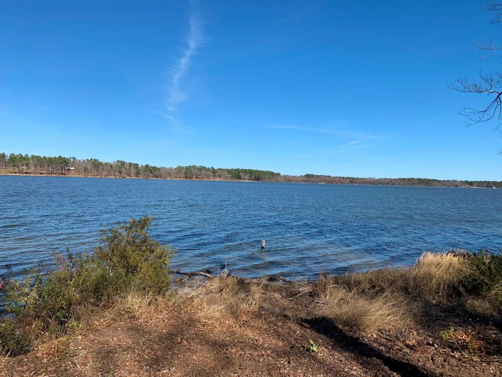 3266 Shadow Pine Drive Larue, TX 75770