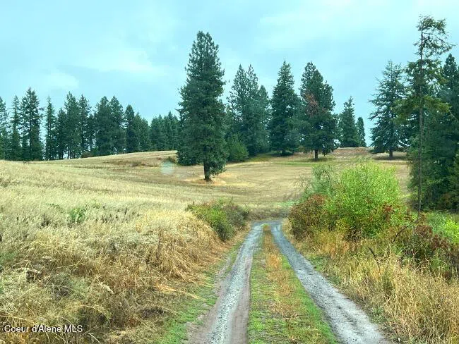 NKA 618acs Freeman Creek Road Lenore, ID 83541