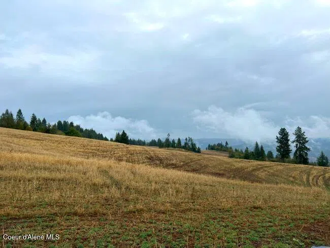 NKA 618acs Freeman Creek Road Lenore, ID 83541