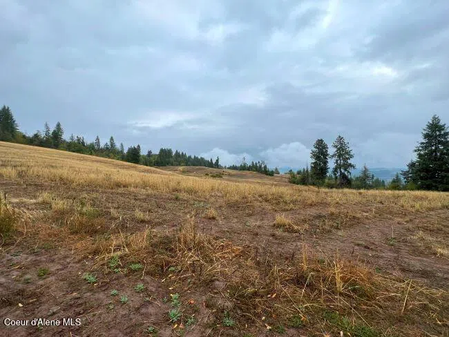 NKA 618acs Freeman Creek Road Lenore, ID 83541