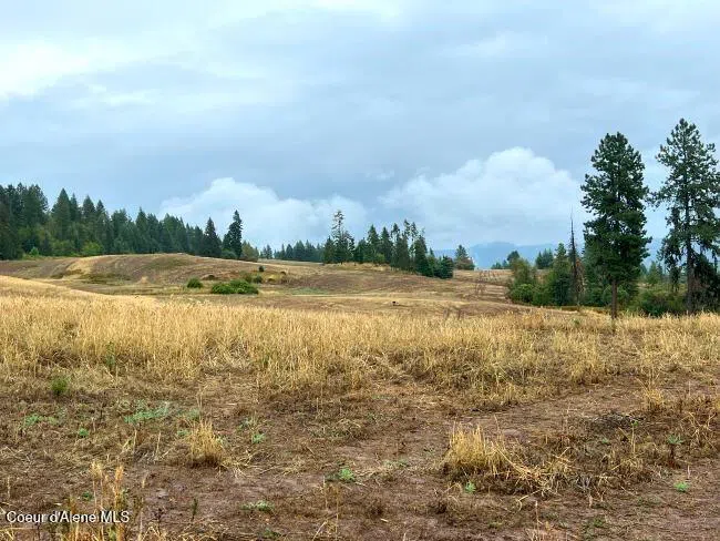NKA 618acs Freeman Creek Road Lenore, ID 83541