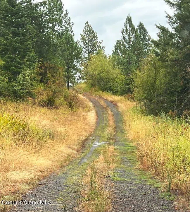 NKA 618acs Freeman Creek Road Lenore, ID 83541