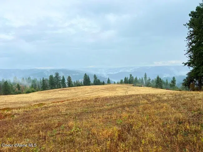 NKA 618acs Freeman Creek Road Lenore, ID 83541