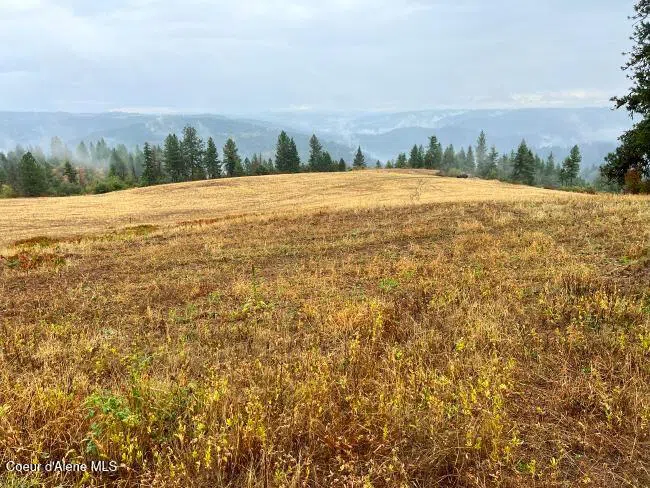 NKA 618acs Freeman Creek Road Lenore, ID 83541